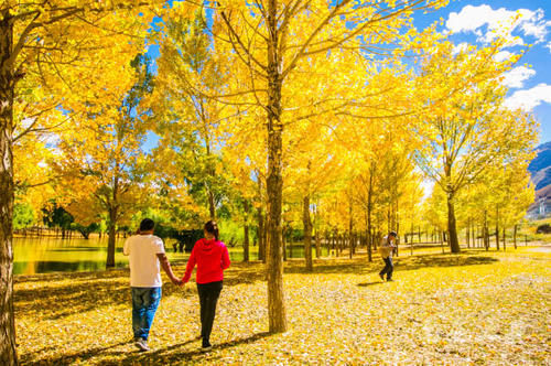 西藏小众旅行地,秋天美到翻