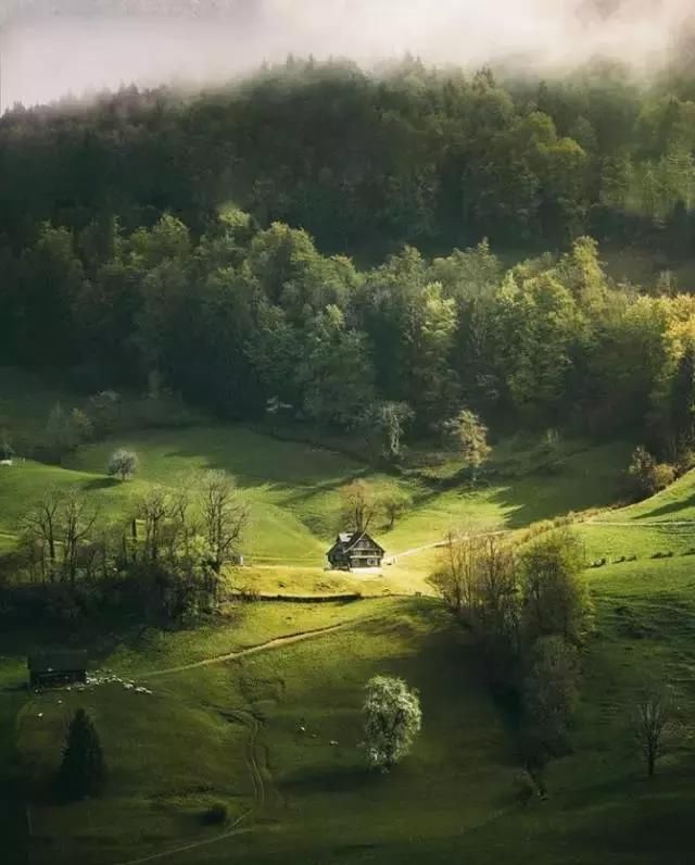 春天怎么拍才有意境？十招让您立刻开窍！