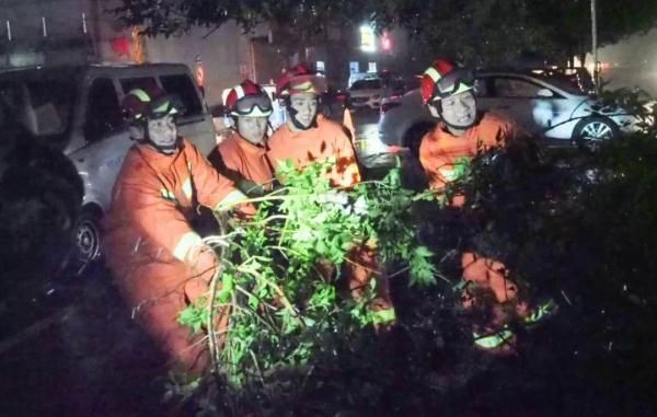 “利奇马”已过境德州，今夜我市仍有中到大雨，局部暴雨