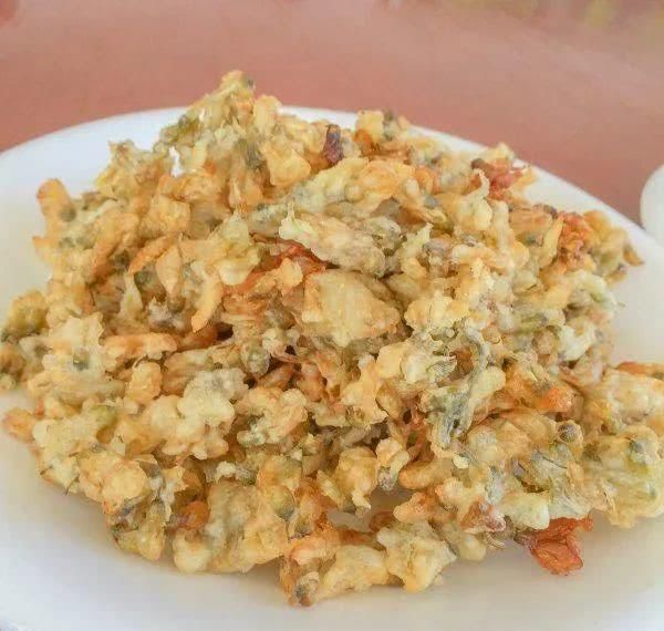  槐树@北京人的生活，一年四季都离不开树！