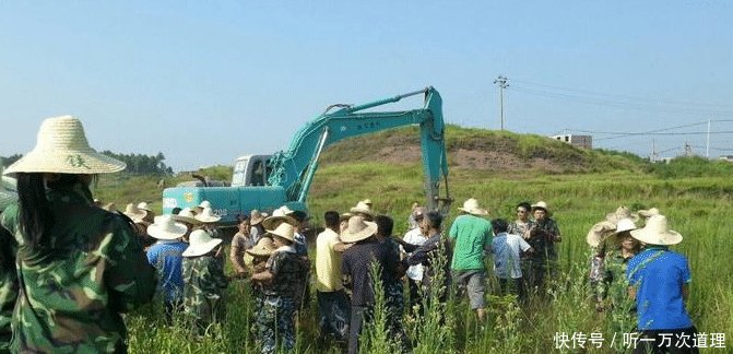 再有8个月，占用耕地要交税！农民咋办多久交一次一次交多少