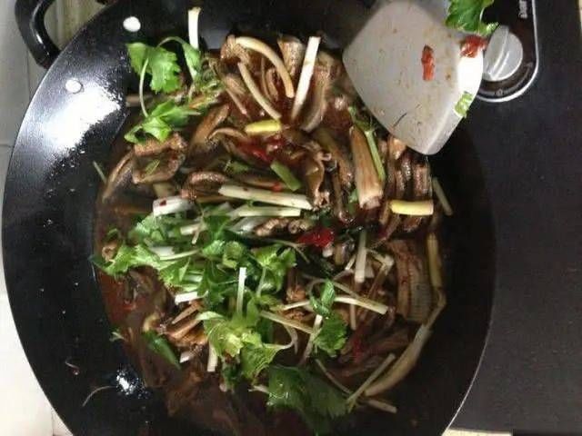  『特别』开春后乡下的黄鳝特别多，水塘边，田埂上到处都是