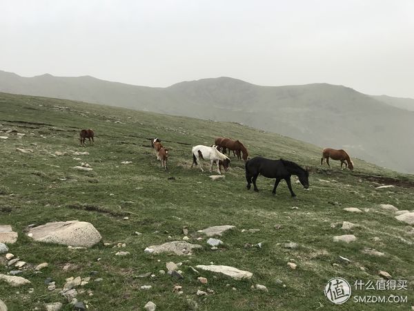 行走在路上 篇七:身坚志残的两天两夜逆时针大朝台，是自虐?是修