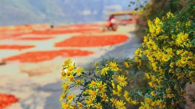 秋日里，山西20处绝美赏秋胜地美的像仙境