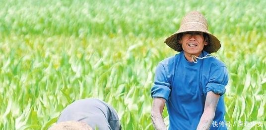 地补和粮补政策出台，每亩1千元，但是这几种情况领不到