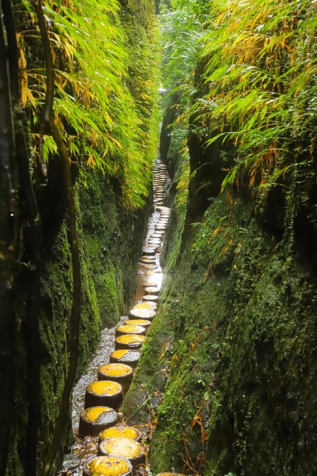 逆天了，这个景区人少还不要索道票，国庆赶紧来这里