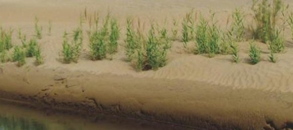  「绿洲」中国再现超级工程，沙漠将变成绿洲，也可能遭到印度的