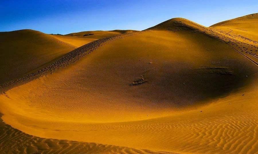 中国又一逆天大作！荒芜沙漠变绿洲，覆盖面积大到不敢相信