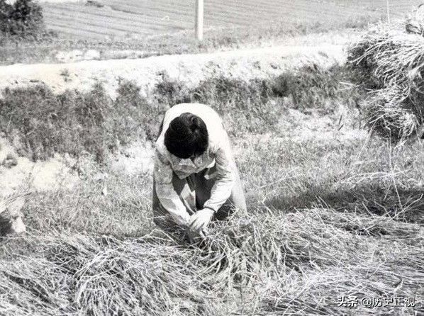老照片:一组70年代的韩国农村生活照，太珍贵了!