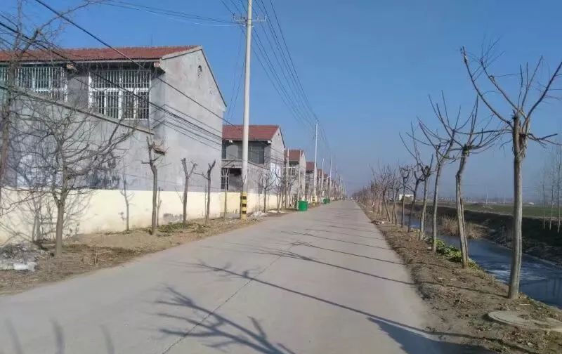  【采用】农村普遍采用“宽3.5米”的水泥路，也有更窄的。 这锅