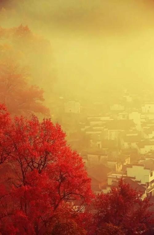 10月，我把时间留给婺源