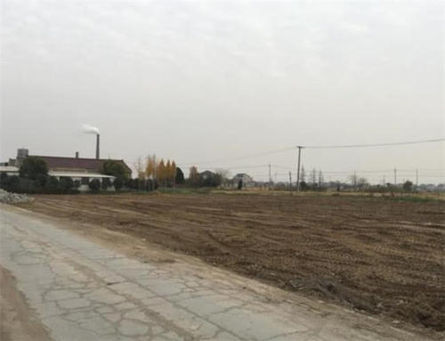  「处置」农民开垦荒地种植，这些多出来的土地，该怎么处置呢？