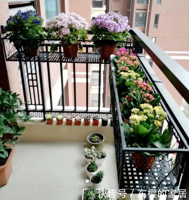  不占空间@想要养花，阳台空间太小？用1个巧妙的“方法”，多养出30盆花
