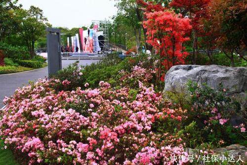  养老金■养老保险中除以139是什么意思？