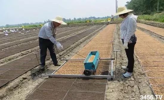 对不起，我要回去当农民了！重磅信号，中国即将实行三权分置！