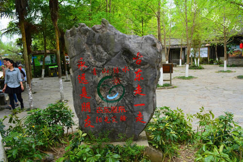 同为旅游城市,桂林和张家界哪个更深得人心?游客直言:张家界