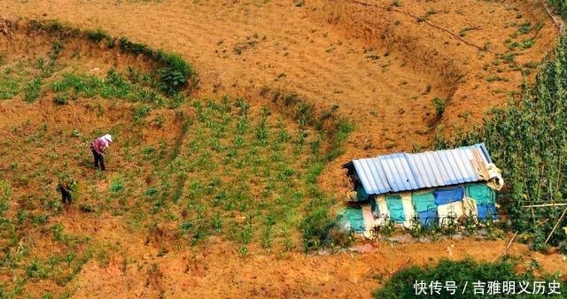  「种植」农村怪事种粮不赚钱，荒着会收回，土地流转却不愿意，为什么