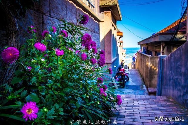 一个与崂山道士相邻的古渔村,距今已600年,为何少有游客涉足?