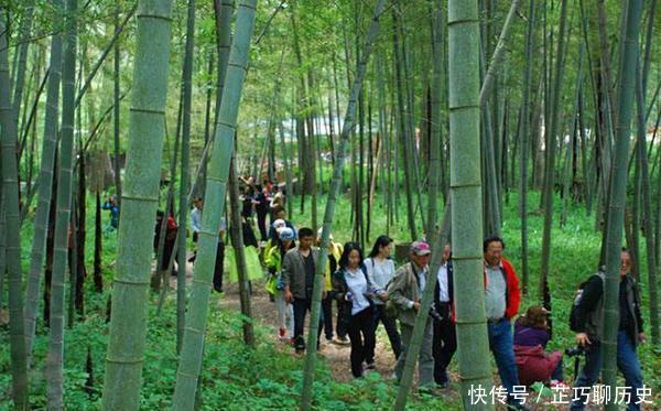 湖北最发达的6个县,3个位于荆州市,第1是嘉鱼