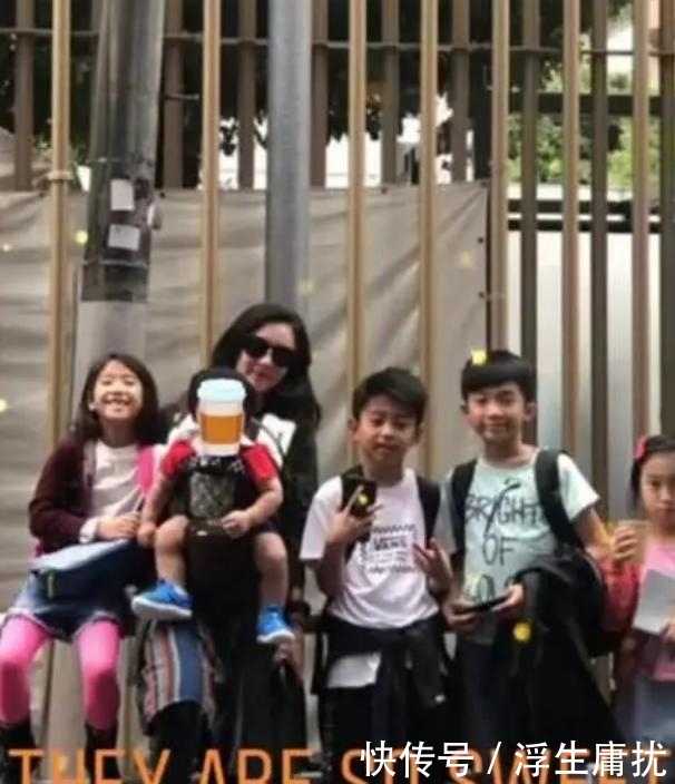  儿子■张柏芝晒娃：大儿子烫卷发，越来越像谢霆锋，但二儿子的颜值更高