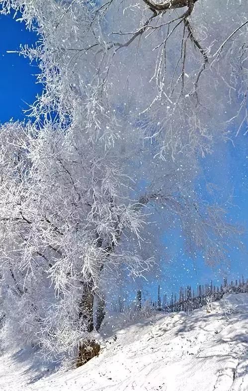 中华美景，太震撼了，向伟大的摄影师致敬！