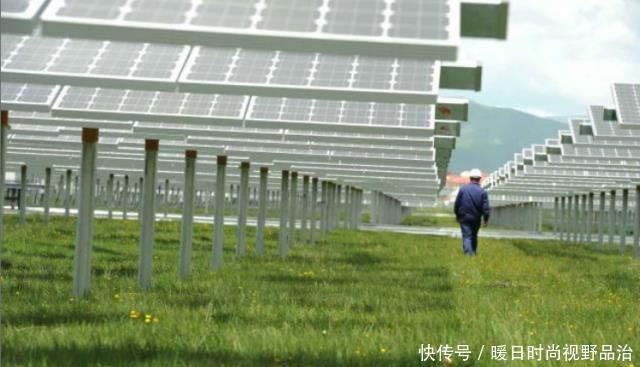  【中国】中国在发电站放了几千只羊，一个世界难题，就这样被羊