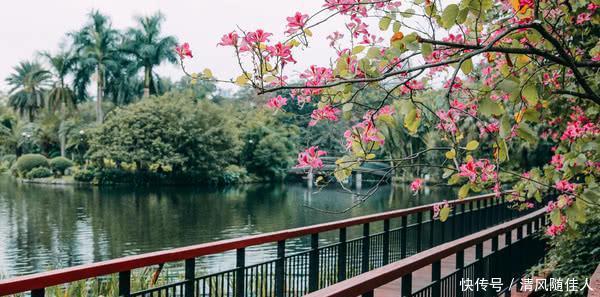 中国最“富可敌国”的三个省,经济总量直追日本,均是旅游热门地