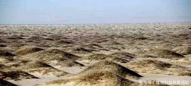 我国建亚洲最大“沙漠水库”，不到一年尝到“恶果”，值得吗