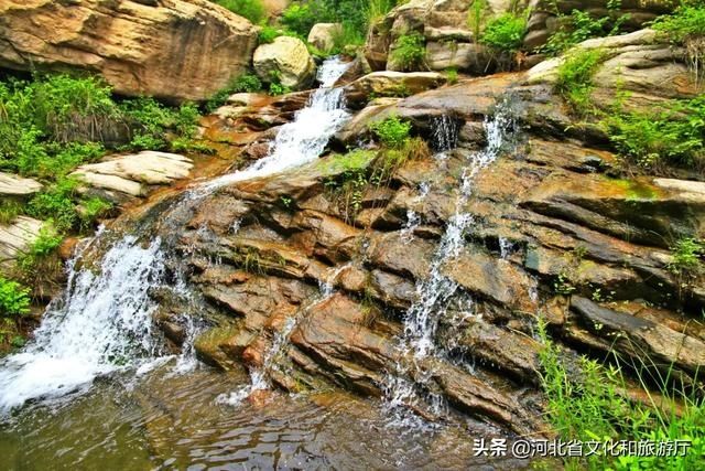  [春天]王母山春日美景图，每一帧都好看！