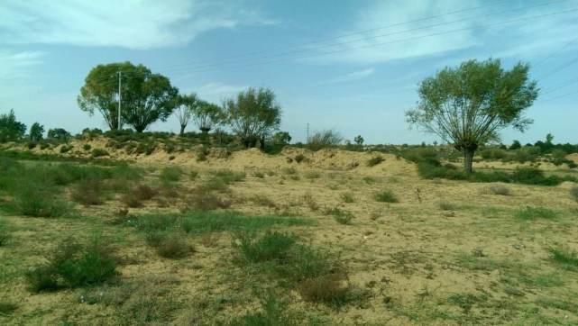 中国有九大沙漠，最大的33万平方公里，第五大沙漠却要消失？