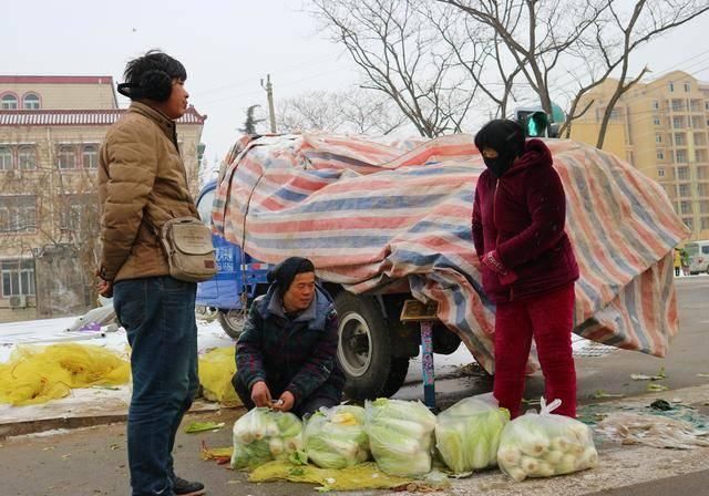  韩大叔|农民种植一种蔬菜，10亩收入30000元，期盼春节前卖出去