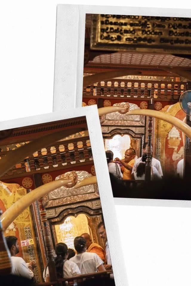 斯里兰卡 必做的十件事