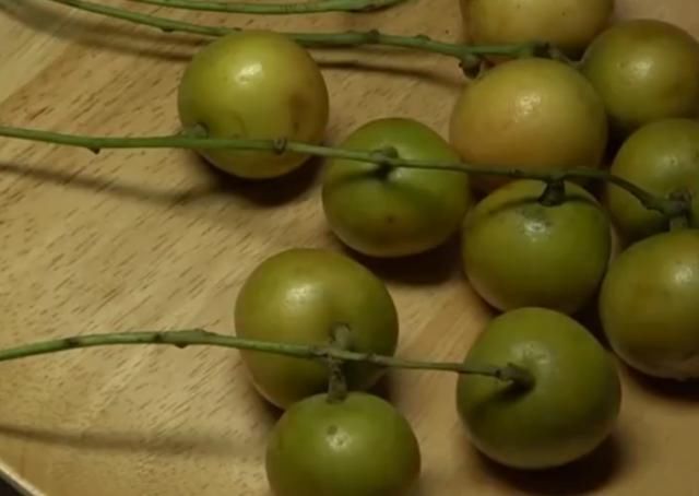  「果子」一种果子生长在山上，开花结果需要2年，如今农民大量种