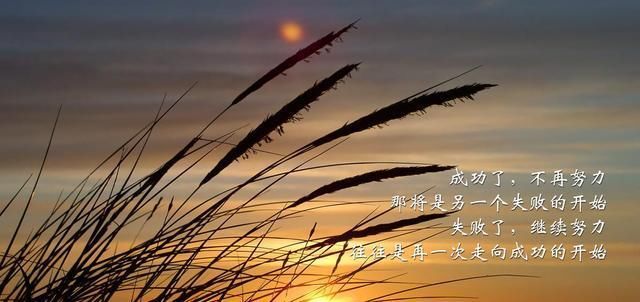 「村上春树」不要再为生活苦恼了35名巨匠名人引文教你如何解脱