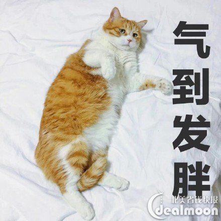 还没试过转运?你想知道的一切都在这里了