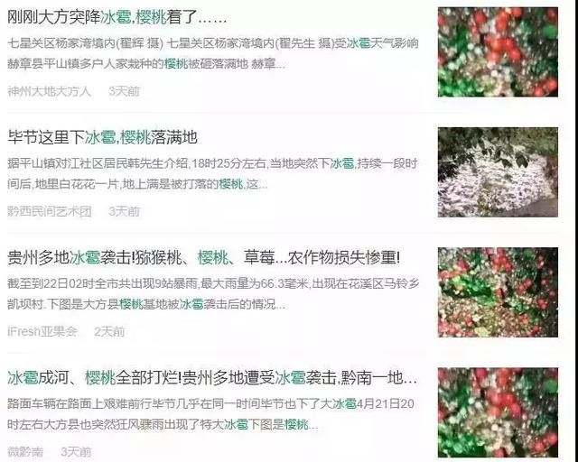 痛心！冰雹、暴雨、霜冻突袭，农民损失惨重！（附补救措施）