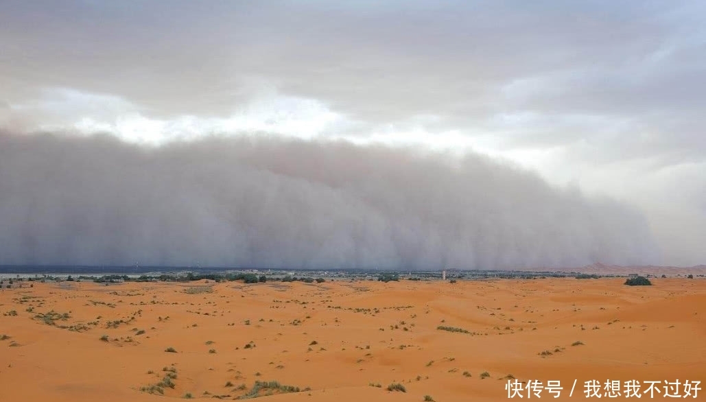 中国治沙30年, 在沙漠种下10亿棵树, 如今向沙漠伸手“要钱”!