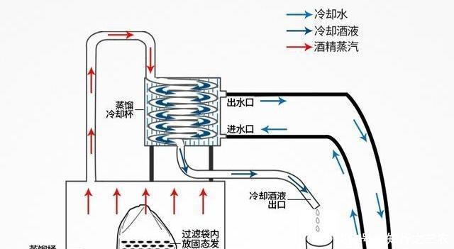  #对钓鱼#容易被忽视，却非常有效的钓鱼饵——酒糟，自制专攻大鱼的好窝料