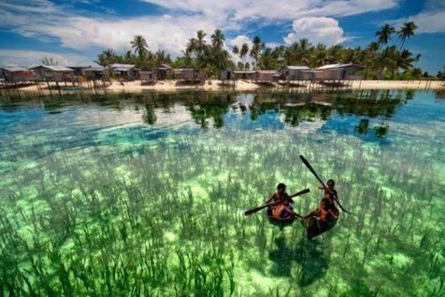 这里是最危险的海域,水下能见度高达72米,美丽的背后却处处危险