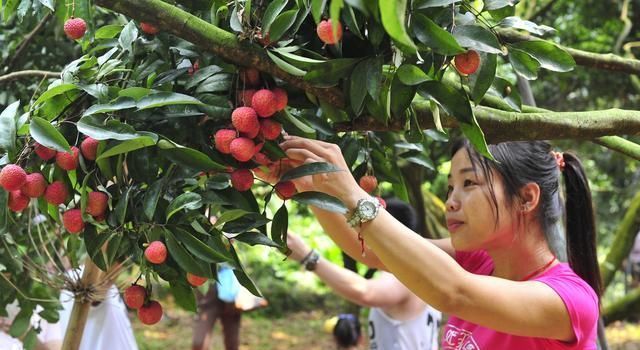很多年轻人都开始回乡创业了，那么在农村种植什么东西最赚钱？