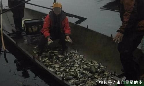  「天气」这里的鱼不仅多, 而且傻, 钓鱼拉得手抽筋