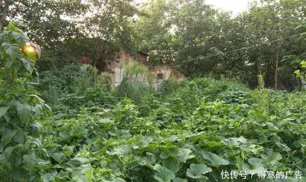  「新规」宅基地新规，出现这4种情况，宅基地就不是你的了，注意