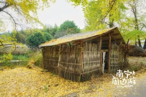 看过桂林山水就算来过广西了？这些人间仙境才叫人上瘾！