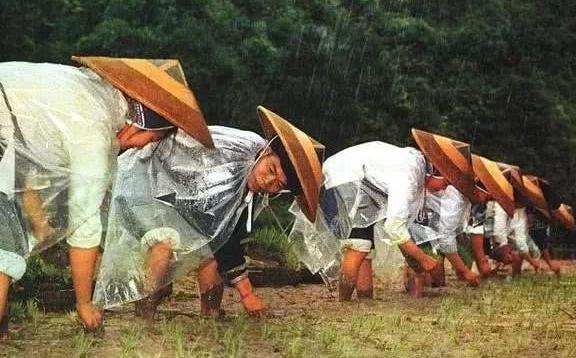 一组记录上世纪七十年代人民公社开展生产运动的珍贵老照片