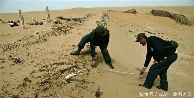 世界第二大流动沙漠，中国投入数十亿种下植物，后果让人始料不及