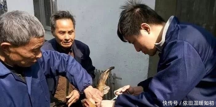  [养殖户]中央拨款，养殖户拥有3个证件即可申请养殖补贴，否则免