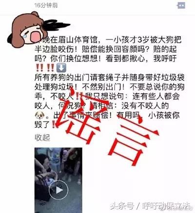 别再传了！“体育馆外儿童被狗咬伤”消息不实，多地警方已辟谣！