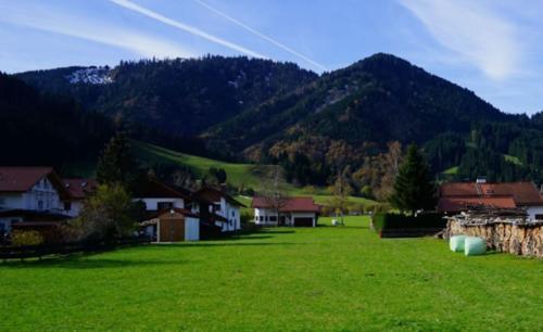  「时间」宅基地确权时间出炉，两年内完成，专家：这几种情况要