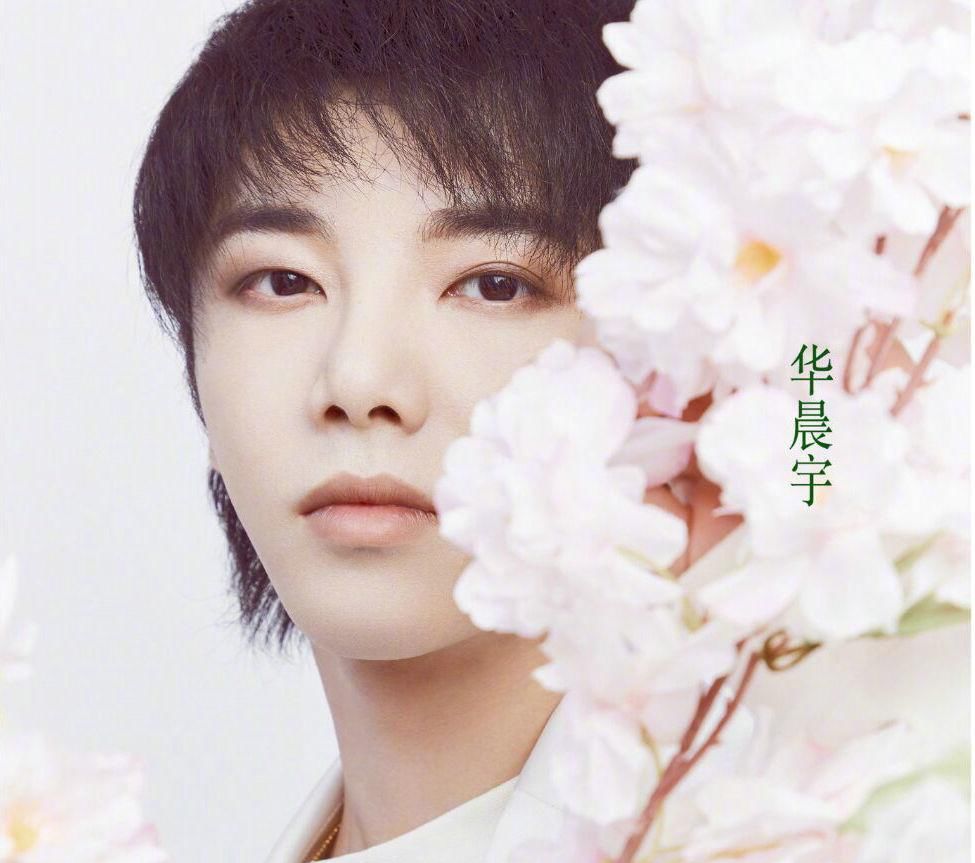  『受益匪浅』又一位知名教授评价华晨宇, 这次比较“中肯”, 观众受益匪浅