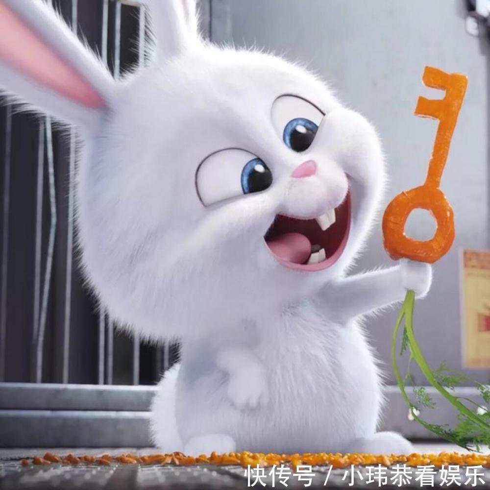 歇后语兔子的尾巴--长不了是在讲什么